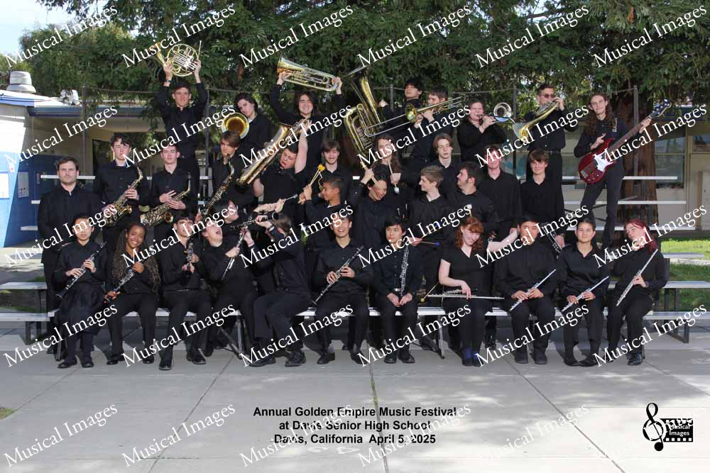 Musical Images
